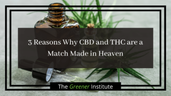 Read more about the article 3 Reasons Why CBD and THC are a Match Made in Heaven