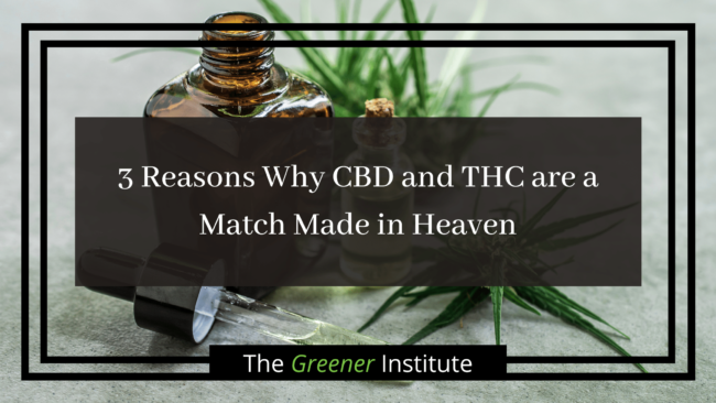 3 Reasons Why CBD and THC are a Match Made in Heaven _ The Greener Institute (1)
