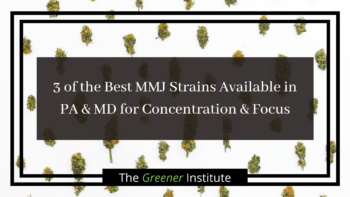 Read more about the article 3 of the Best MMJ Strains Available in PA & MD for Concentration & Focus