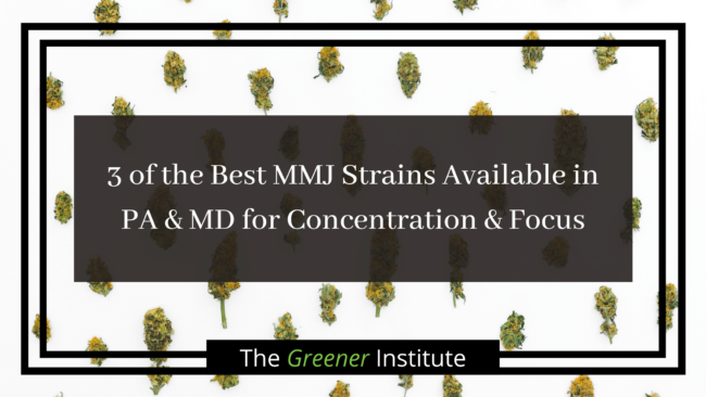 3 of the Best MMJ Strains Available in PA & MD for Concentration & Focus _ The Greener Institute