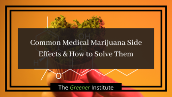 Read more about the article 5 Common Medical Marijuana Side Effects & How to Treat Them