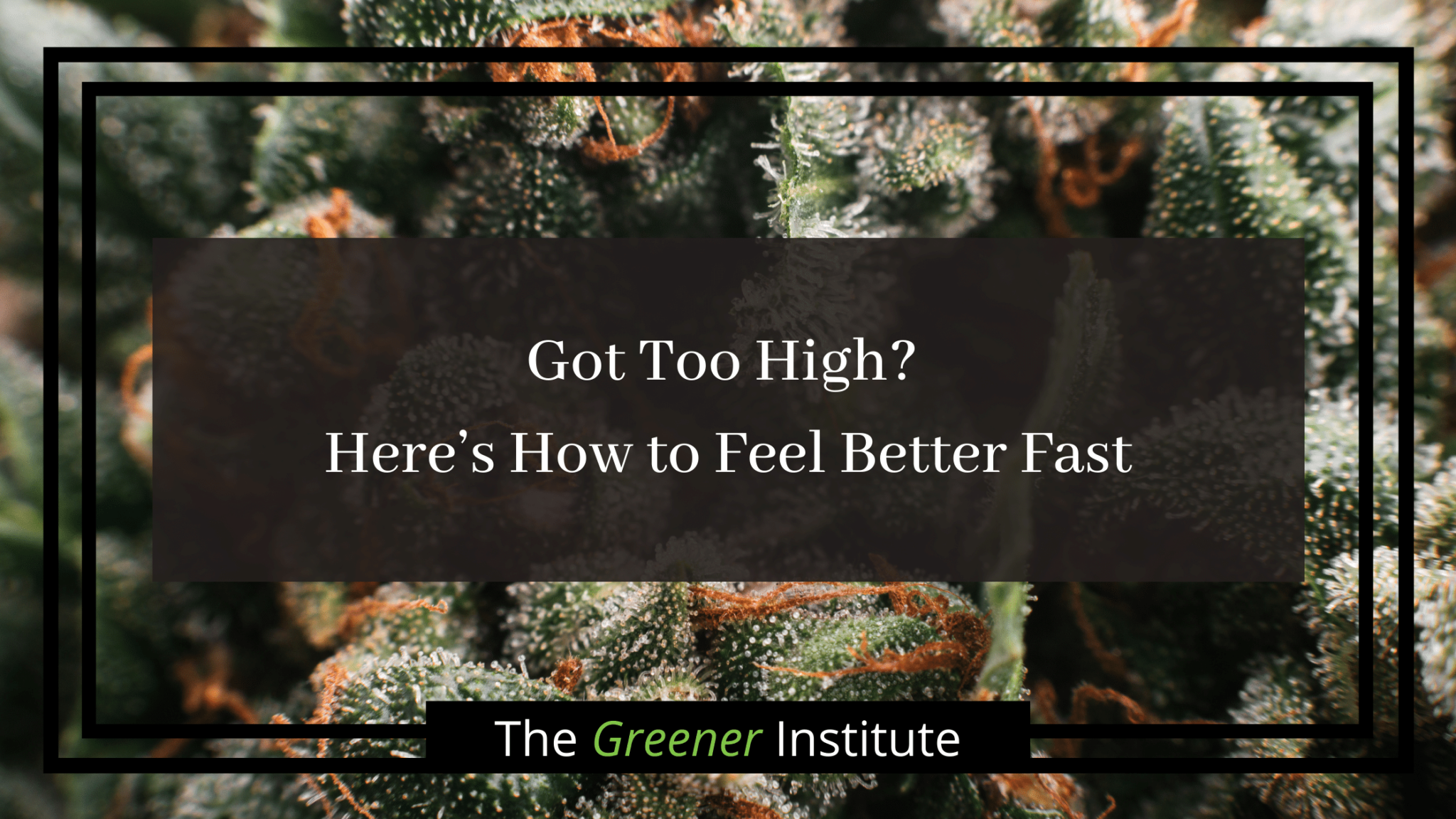 Getting Very High Got too high? Here's How to Feel Better Fast! | The Greener Institute