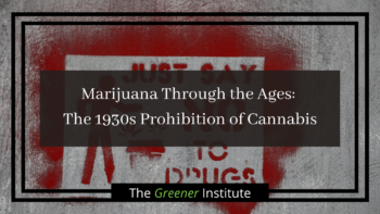 Read more about the article Marijuana Through the Ages: The 1930s Prohibition of Cannabis