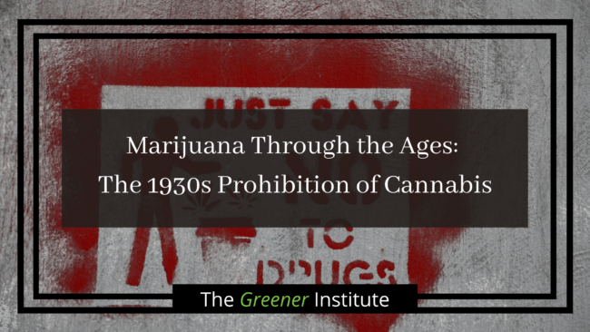 Marijuana Through the Ages_ The 1930s Prohibition of Cannabis _ The Greener Institute