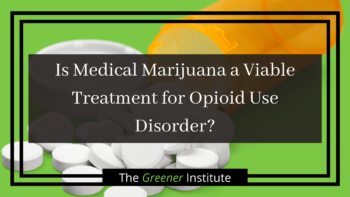 Read more about the article Is Medical Marijuana a Viable Treatment for Opioid Use Disorder?