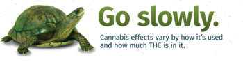 Read more about the article Effects of Edibles by Dosage and Tolerance